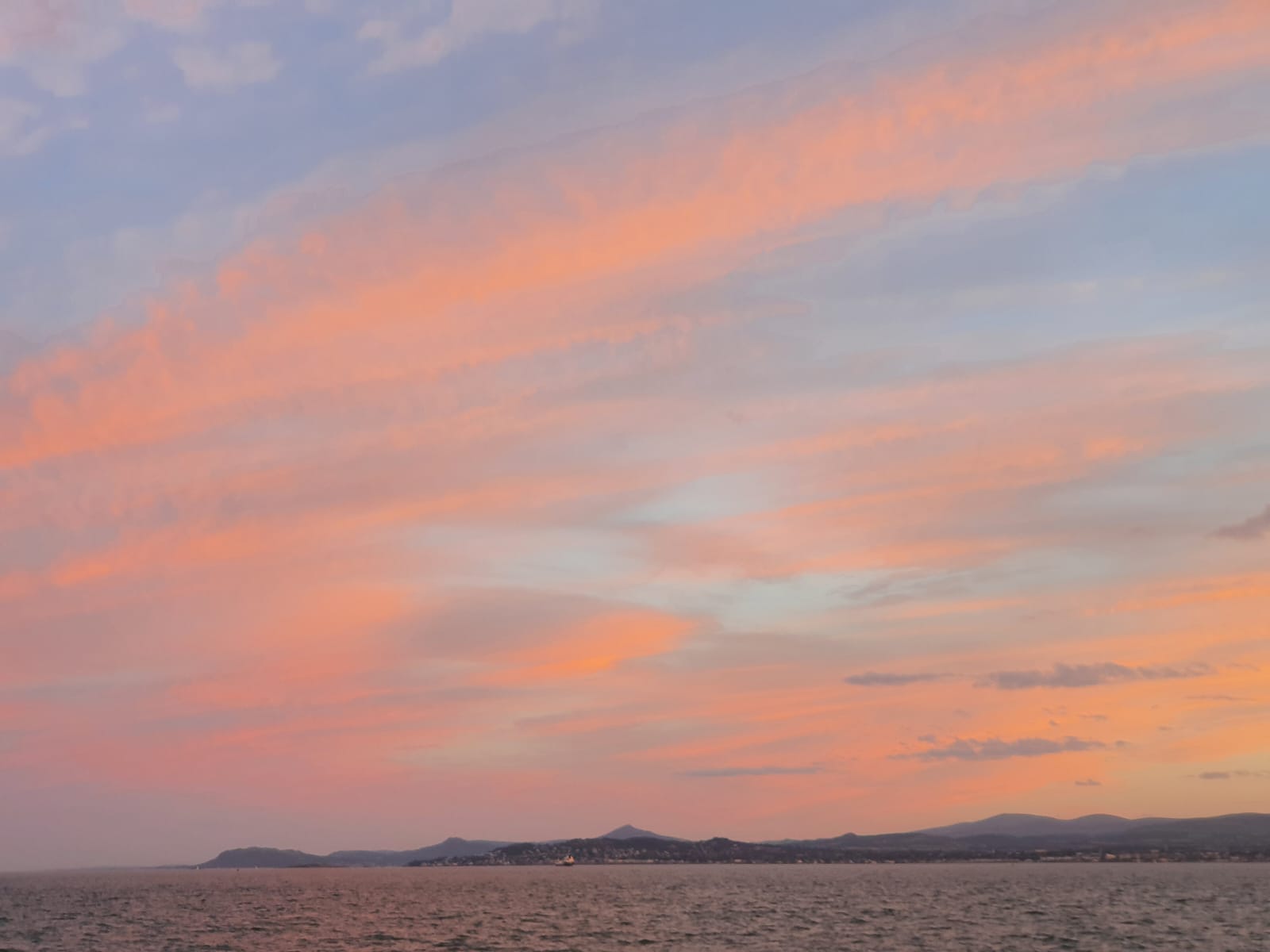 The Telegraph Pole - Howth — 24 August 2022