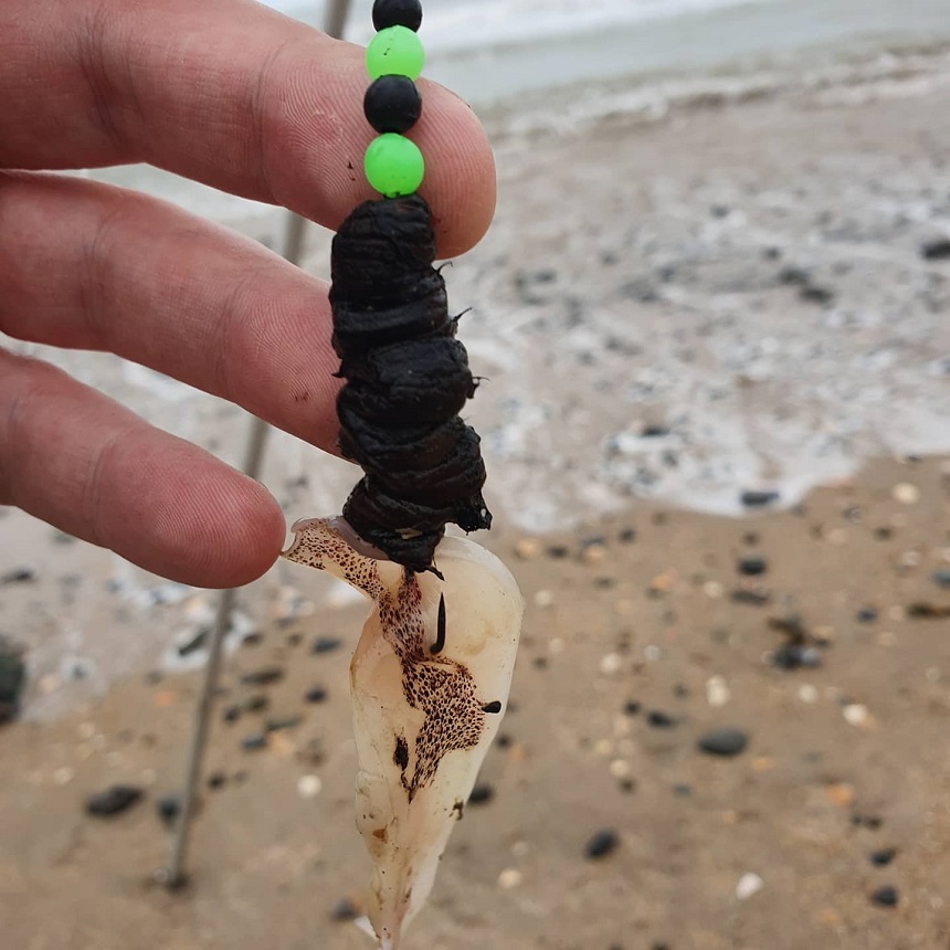 Portrane Beach — 28 March 2021