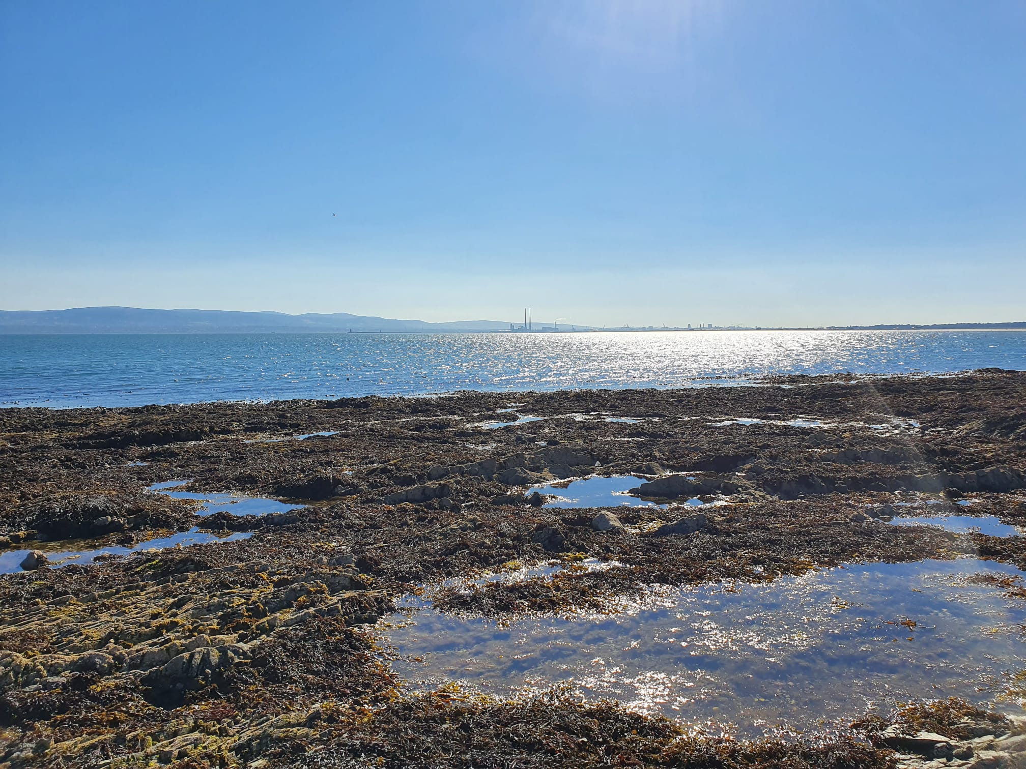 Sutton Creek — 10 August 2022