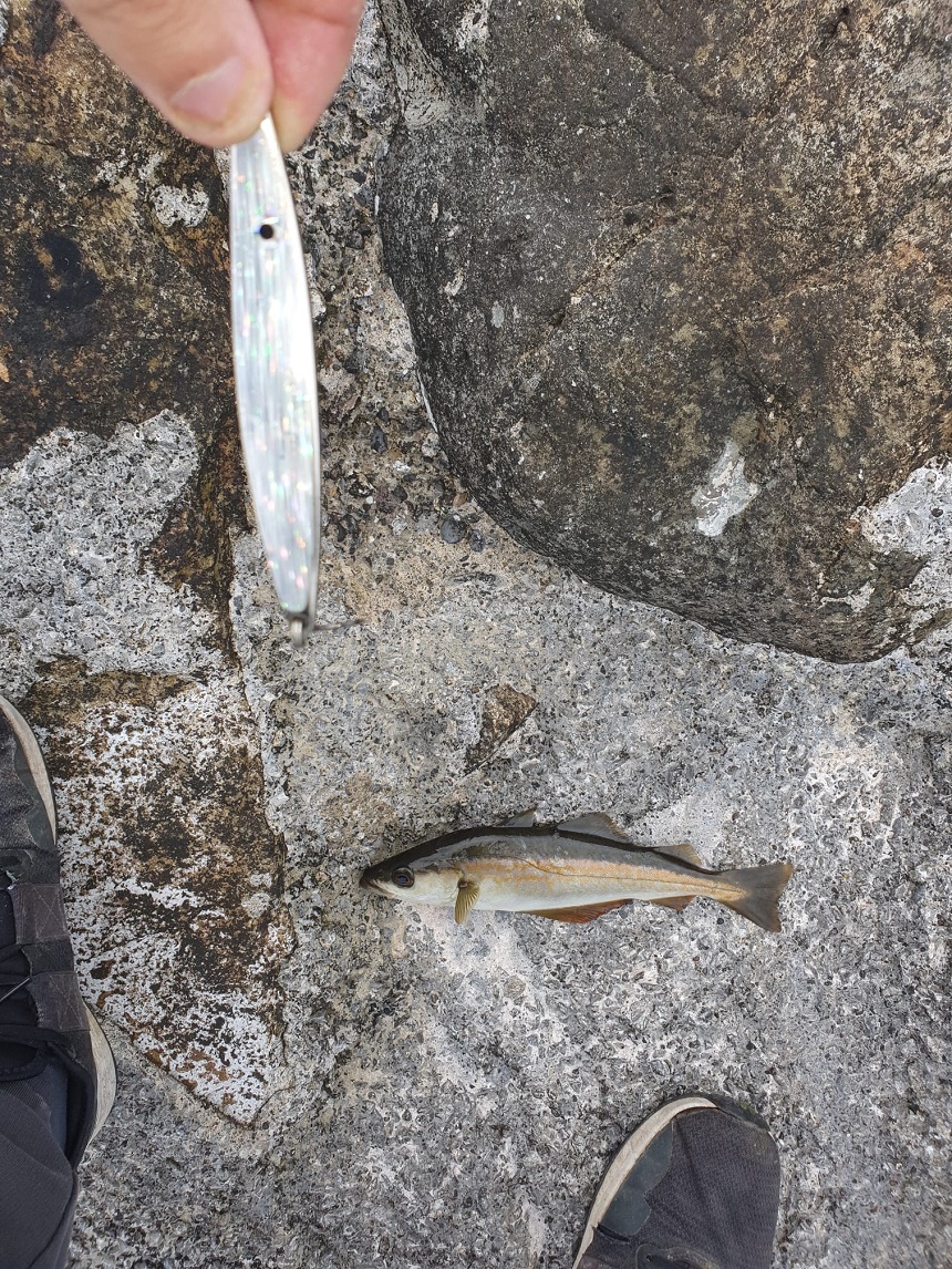 North Dublin Pier — 17 August 2021