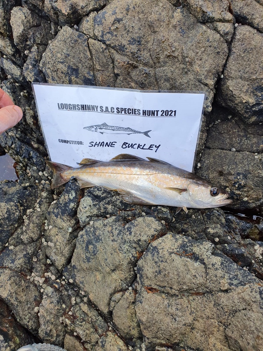 Howth Rock Mark — 22 June 2021