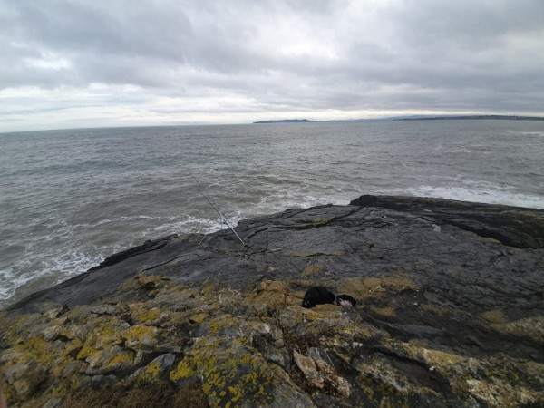 Portrane Cliffs — 19 January 2021