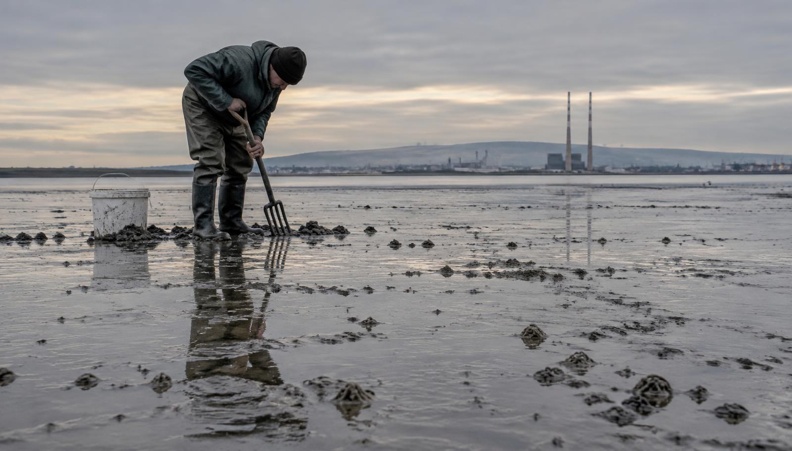Bait Collection Around Ireland: A Shore Angler's Guide